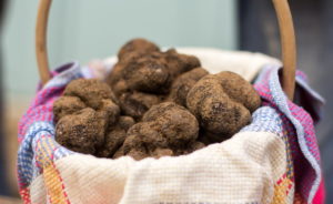 marché aux truffes de Lalbenque Lot