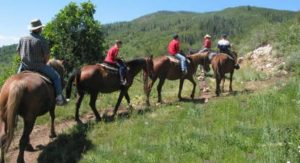 balade à cheval crins du col