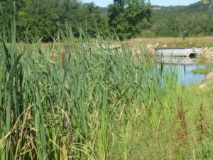 restaurant traditionnel Tarn et Garonne Lot